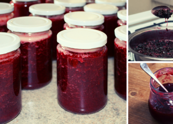 How To Make The Long-Lasting Native American’s Wojapi Sauce