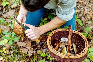 The Best States To Outlive A Food Crisis