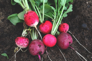 11 Fast Growing Vegetables to Grow in a Crisis