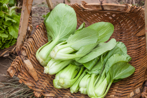 11 Fast Growing Vegetables to Grow in a Crisis