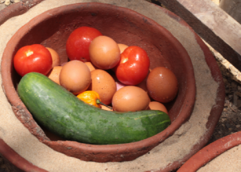 How To Build An Electricity Free Fridge