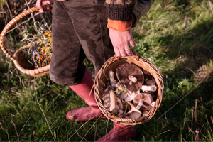 10 Civil War Foods Every Prepper Should Know And Try