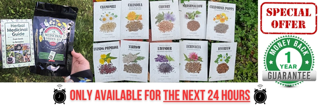 special offer MK seeds