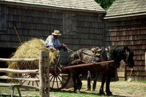 10 Amish Survival Hacks You Didn’t Know About
