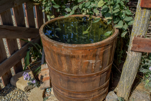 rainwater
