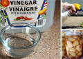 50 Survival Uses For Vinegar