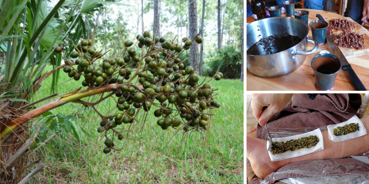 Native American Remedies