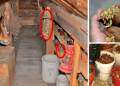 Root Cellar Mistakes You Need To Avoid At All Costs