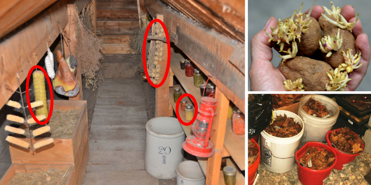 Root Cellar Mistakes You Need To Avoid At All Costs