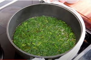 Edible Plants To Forage In Early Spring