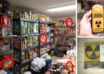 Rich In Iodine: 5 Foods That Help Manage Radiation Effects