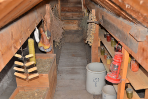 Root Cellar Mistakes You Need To Avoid At All Costs