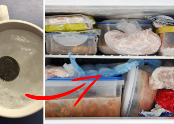 Why You Should Put A Coin In A Cup Of Frozen Water In Your Freezer