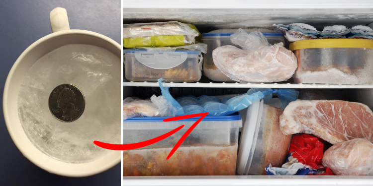 Why You Should Put A Coin In A Cup Of Frozen Water In Your Freezer