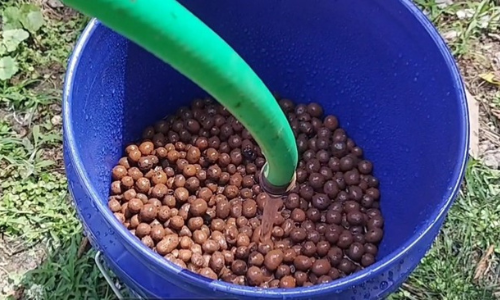clay pebbles