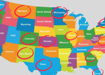 Best States For Looters. Do You Live In One Of Them?