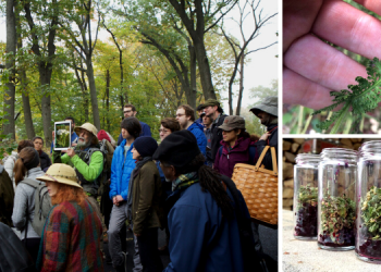 The Plant Doctors Are Begging People to Grow