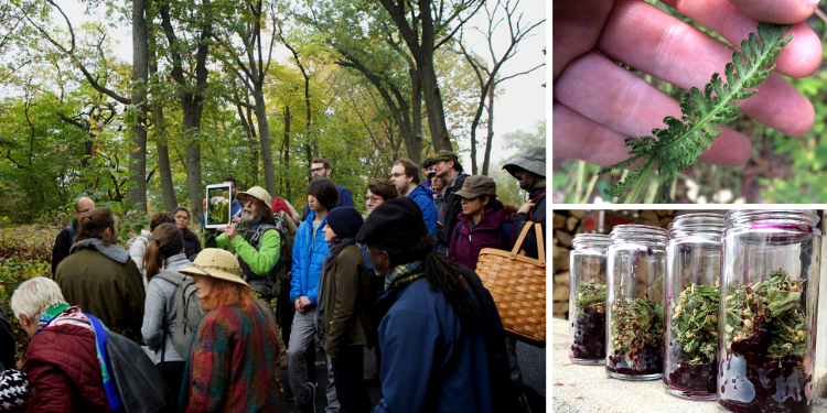 The Plant Doctors Are Begging People to Grow