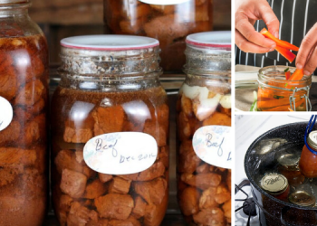 How To Preserve Foods In Honey