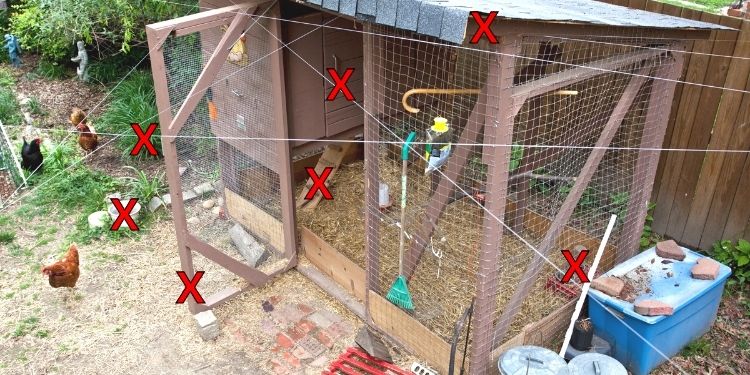 7 Chicken Mistakes You Should Never Make