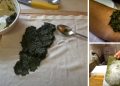 My Grandmother’s Favorite Poultice to Treat Infections