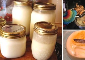 How To Make Long-Lasting Tallow For Survival