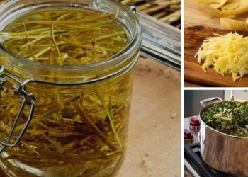 The Most Effective Amish Home Remedies You Haven't Heard About