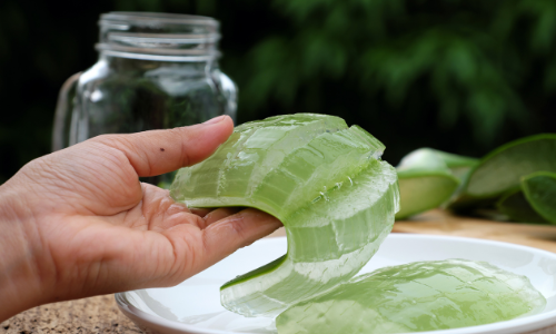 My Grandmother’s Favorite Poultice to Treat Infections