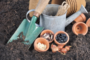 The Seedbank You Need To Build Before The Upcoming Food Shortage