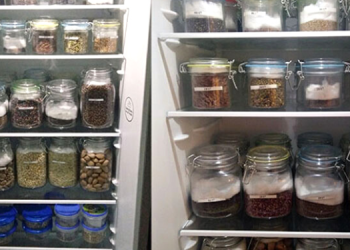 The Seedbank You Need To Build Before The Upcoming Food Shortage