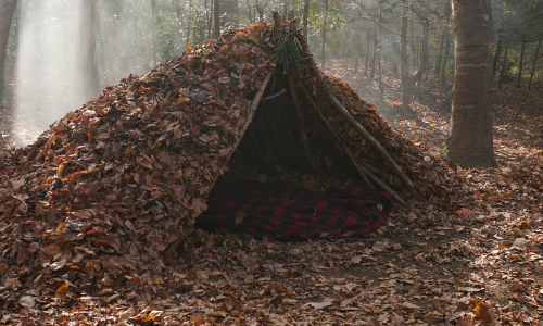 5 Survival Shelters Every Prepper Should Know