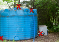 8 Deadly Mistakes When Storing Water For SHTF