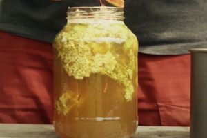 Better Than Aspirin The Plant Every Prepper Needs In Their Cabinet