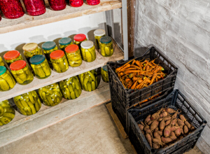 This Is How You Can Live Without Refrigeration