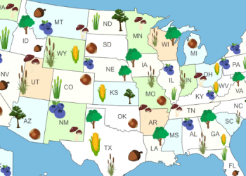 Best U.S. States To Forage For Food