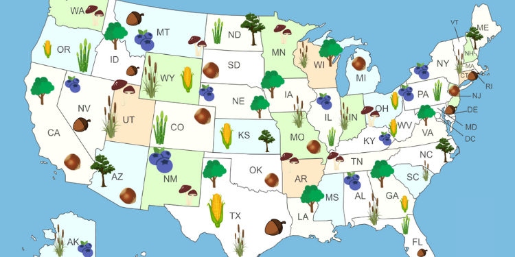 Best U.S. States To Forage For Food