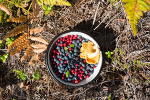 Best U.S. States To Forage For Food