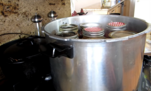 How To Pickle Beef (5 Years Shelf Life) - Ask a Prepper