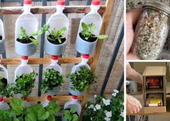 30 Smart Ways To Reuse Things That You Usually Throw Away