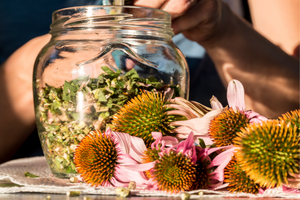 Common Plants You Can Use For Wound Healing