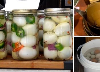 20 Ways To Preserve Eggs