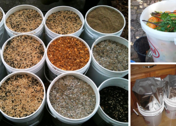 Read This Before You Store Anything In A 5-Gallon Bucket