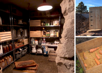 What I Wish I Knew Before Building A Root Cellar In My Backyard