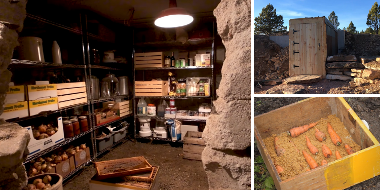 What I Want I Knew Earlier than Constructing A Root Cellar In My Yard