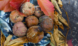 What I Wish I Knew Before Building A Root Cellar In My Backyard