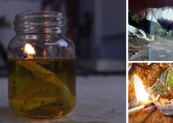 30 Survival Uses For Coffee Filters