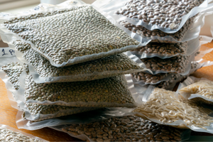 How Long Does Vacuum Sealed Food Last