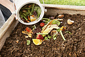 compost