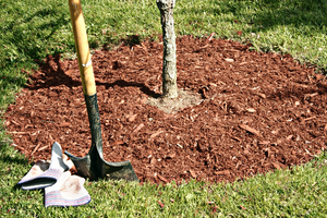 mulch