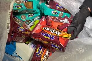 6 Places You Can Go Dumpster Diving For Your Prepper Stockpile
